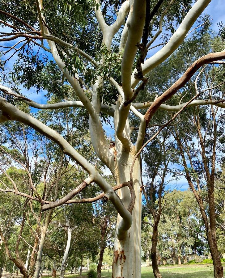 Seatrees Accommodation Yanchep Bagian luar foto