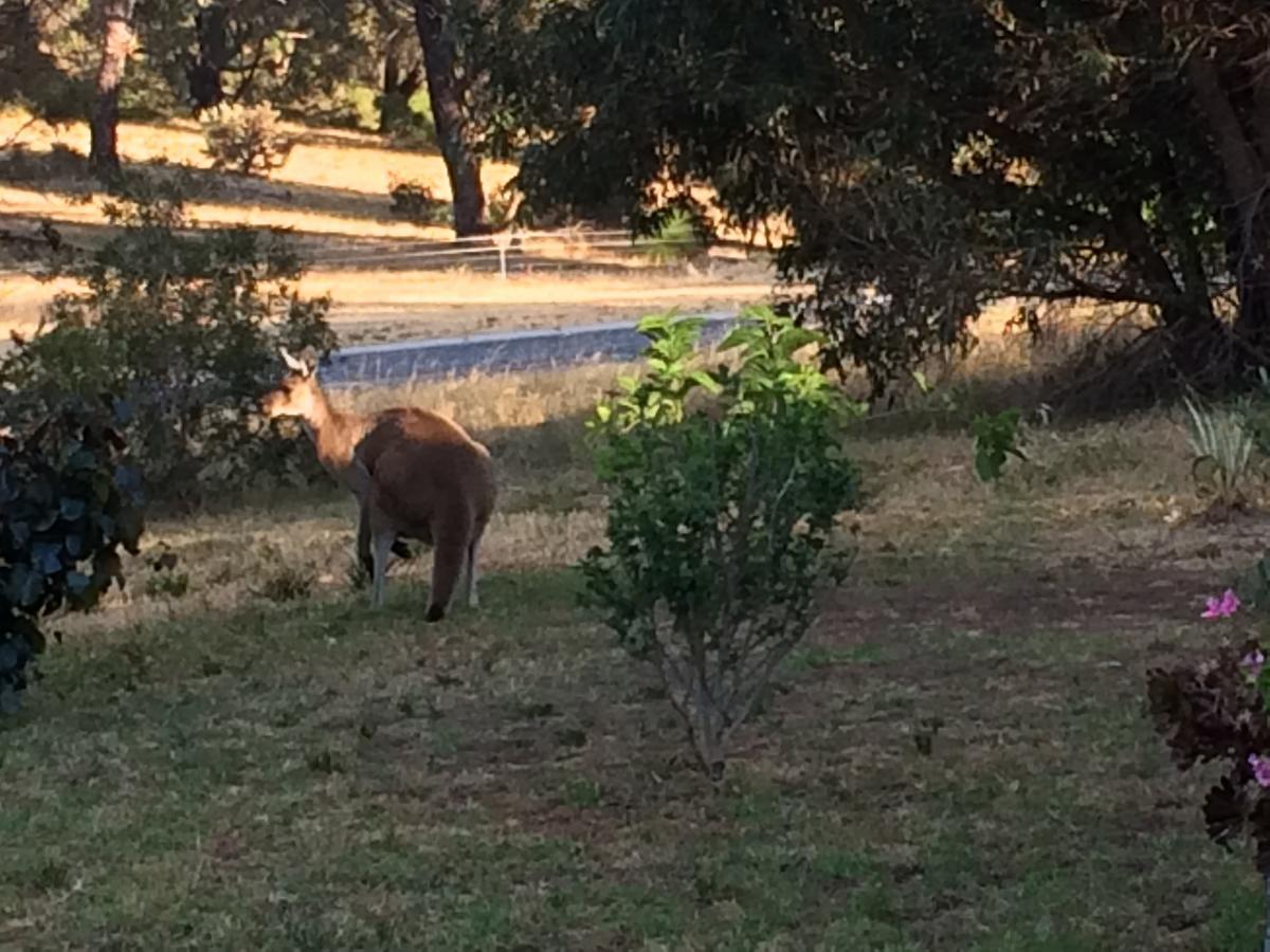 Seatrees Accommodation Yanchep Bagian luar foto