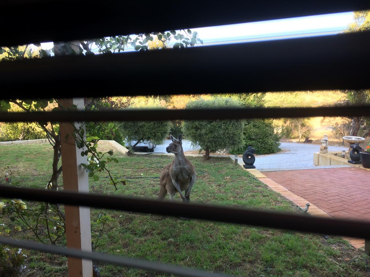 Seatrees Accommodation Yanchep Bagian luar foto